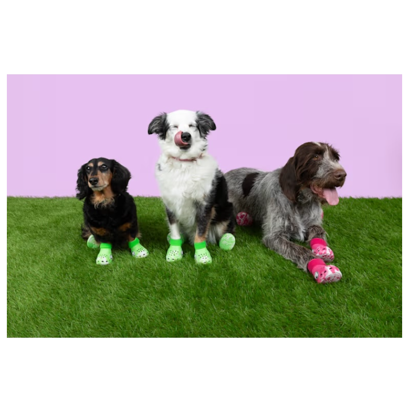 EDICIÓN LIMITADA: Botas Para Mascota Pet Boots Dragon Fruit - Crocs