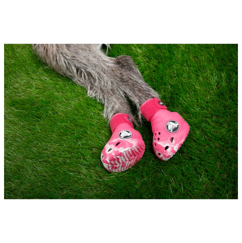 EDICIÓN LIMITADA: Botas Para Mascota Pet Boots Dragon Fruit - Crocs