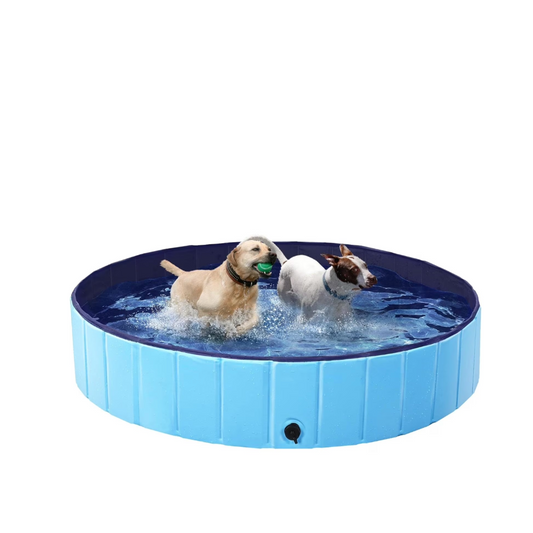 Piscina Plegable para Mascotas - BN-LINK