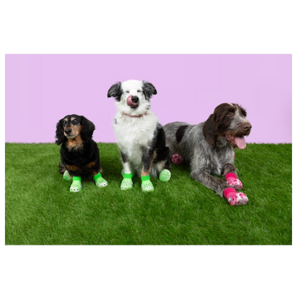 EDICIÓN LIMITADA: Botas Para Mascota Pet Boots Dragon Fruit - Crocs